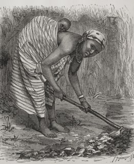 History of Africa
