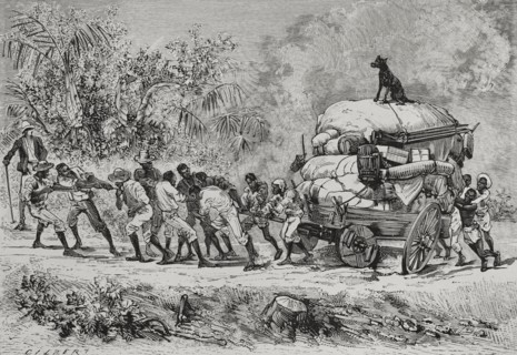 History of Africa