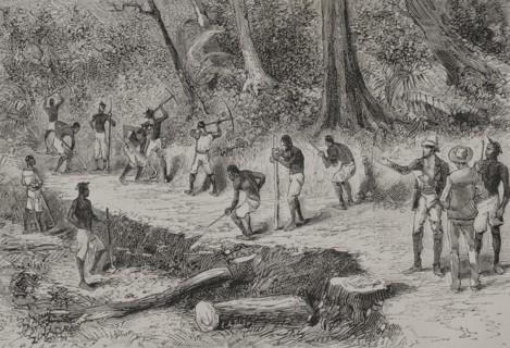 History of Africa