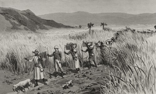 History of Africa