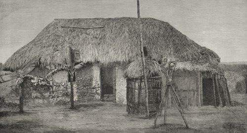 History of Africa