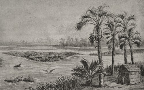 History of Africa