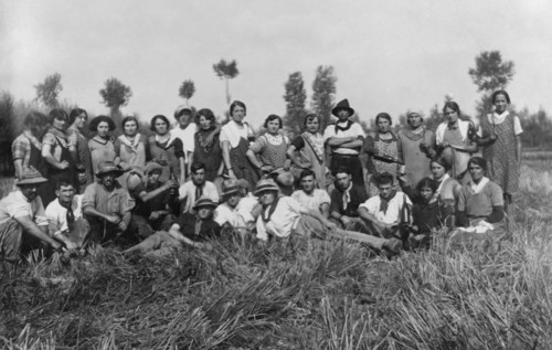 avec les conquêtes coloniales du début des années 30, une grande campagne de propagande a donné le coup d'envoi de la "bataille du blé" pour l'autosuffisance alimentaire. des choix qui s'avéreront tot...