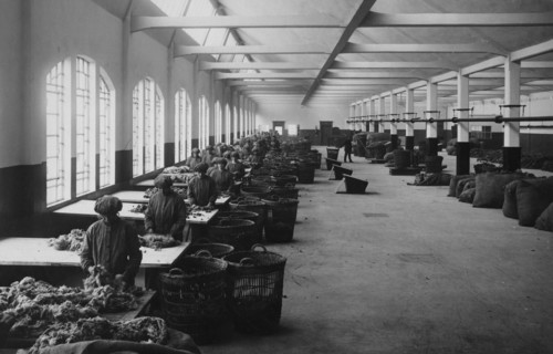 une phase de traitement de la laine à l'usine rossi de vicenza, 1923