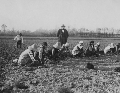 la transformation du pays créée par la formation de grandes et moyennes concentrations industrielles coexiste avec des aspects d'extrême retard, surtout dans le monde de l'agriculture. un groupe de mo...