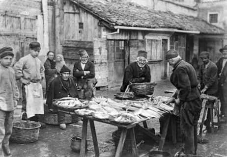 italy, veneto, chioggia, fish market