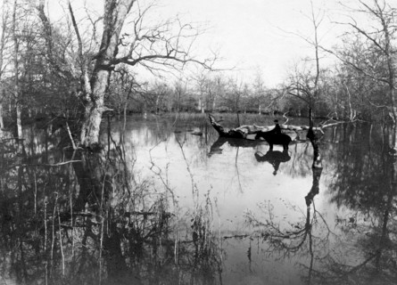 italy, tuscany, maremma, marsiliana, hunter 1897