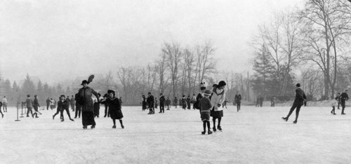 italy, piemonte, turin, parco del valentino 1800-1900
autor: ettore vitali