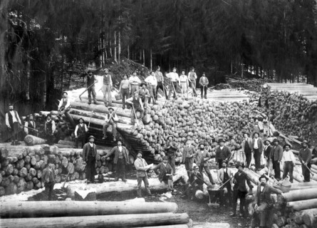 italy, trentino alto adige, woodcutters 1800-1900