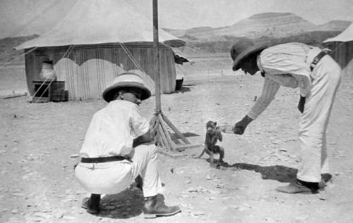 egypt, red sea coast, 1912