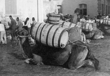 north africa, libya, tripoli, 1910