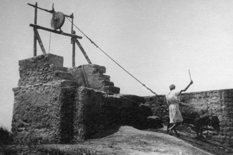 africa, lybia, bab-djedid, well, 1910