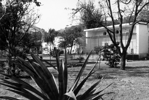 europe, italy, naples, mostra d'oltremare, zoo