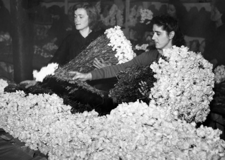 italy, liguria, sanremo, market of flowers, 1949