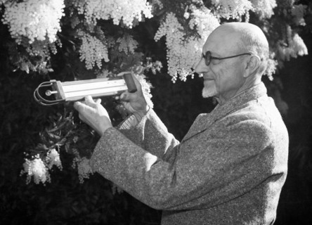 italy, liguria, sanremo, instrument of measurement, 1949