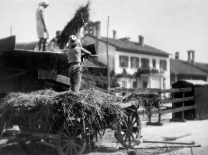 farm, 1940-1950
