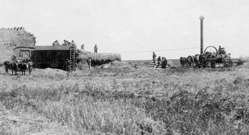 agriculture, 1910-1920