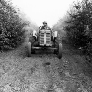 vaporizer, 1920-1930