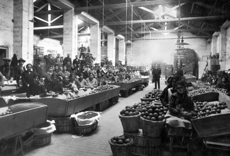 industry, 1920-1930