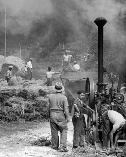 threshing, 1940-41