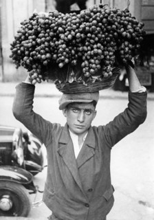 italy, grape harvest, 1930-40