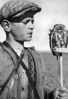 lark hunting
