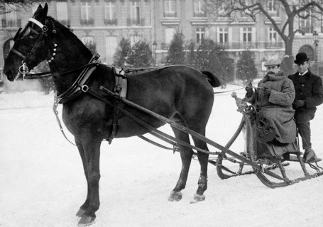 sleigh