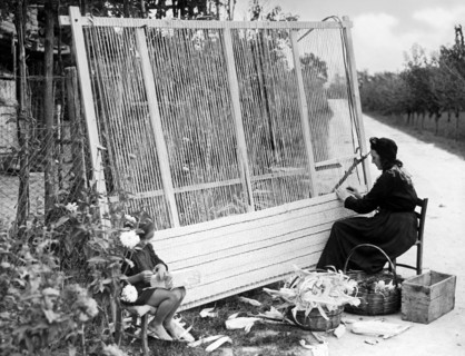 italy, friuli, hand loom, leaves of maize, 1930-1940