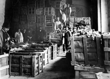 industry, 1920-1930