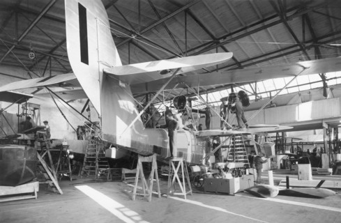 italy, friulia venezia giulia, monfalcone, aerospace industry, 1929-1930