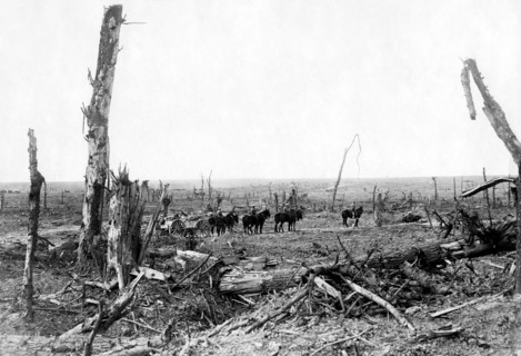 première guerre mondiale, 1915-18