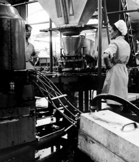 ouvriers à la machine de mise en conserve des pois de rica, 1967