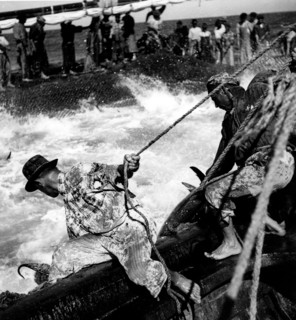 pêche au thon au portugal,, 1965