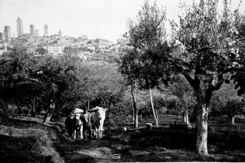 toscane, province de sienne, san gimignano, 1940