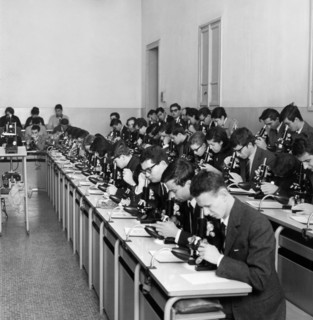 italie, lombardie, milan, étudiants en médecine au microscope, 1965