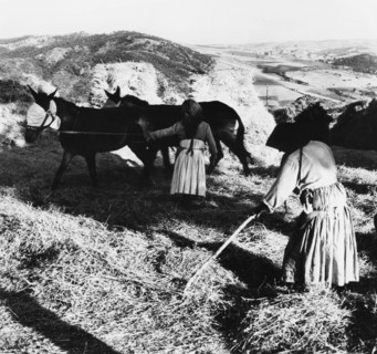 italie, basilicate, paysannes au travail, 1950 1960