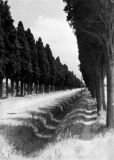italie, toscane, lucca, viale castruccio castracani, 1920 1930