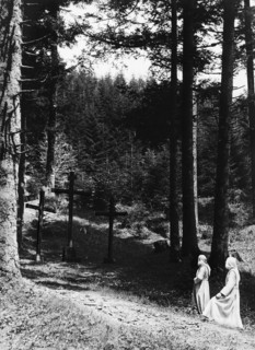 italie, toscane, camaldoli, moines dans la forêt vers l'ermitage, années 1920