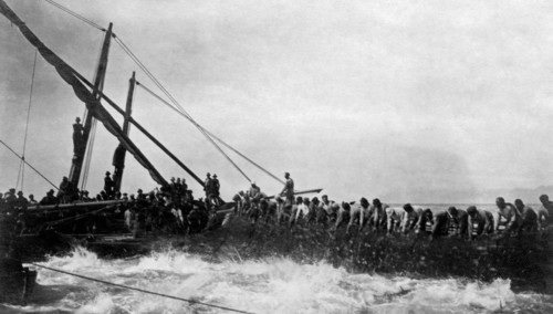 italie, sardaigne, abattage de thon au large de l'île de san pietro, 1921