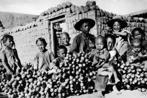 asie, chine, enfants de fermiers chinois parmi les cultures d'opium, 1920 1930