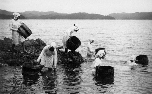 japon, groupe de pêcheurs d'huîtres perlières ama, 1920 1930