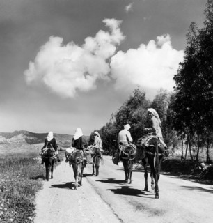 chypre, une route de campagne, 1956