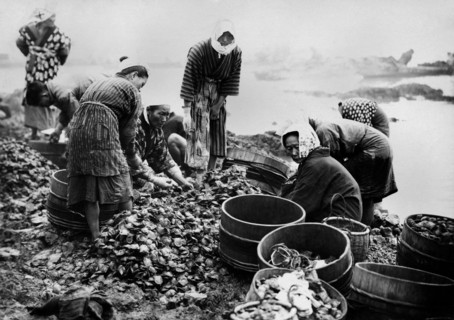 Japon, pêcheurs d'huîtres perlières japonais, 1920 1930