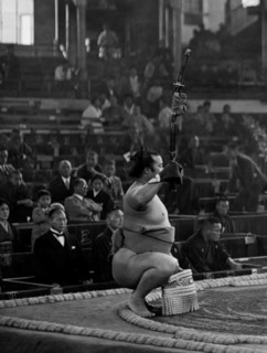 japon, une scène de lutteurs sumo, 1930 1940