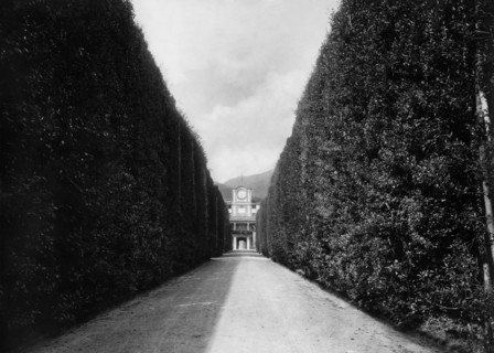 italie, toscane, lucca, vue de la grande avenue de la villa royale de marlia, 1910 1920