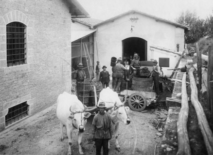 europe, italie, toscane, gaiole in chianti, égrappage des raisins dans les caves de brolio, 1930