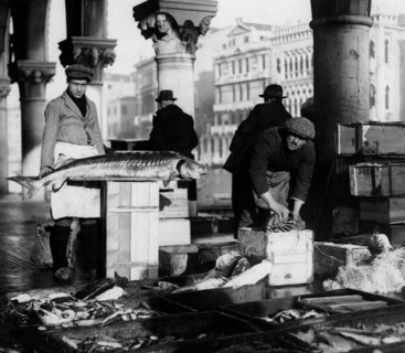 italie, venise, venise, pescheria nova, 1910 1920