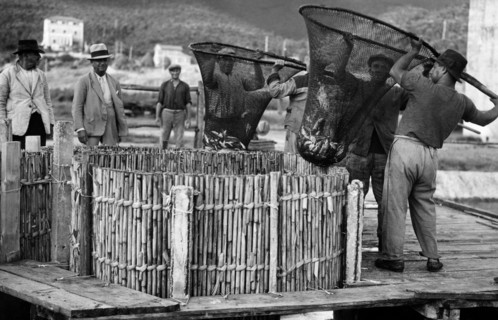italie, toscane, orbetello, pêcheurs au travail, 1920 1930