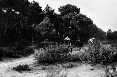 europe, italie, toscane, la pinède de viareggio, 1946