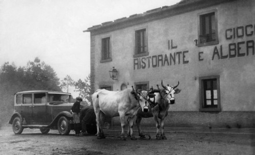 italie, toscane, florence, voiture tirée par des bœufs au col du giogo, 1950
